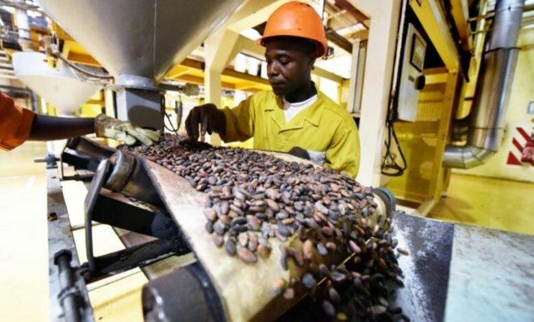 Cameroun : 385,3 milliards de Fcfa de recettes générées par la transformation du Cacao en&nbsp;2025